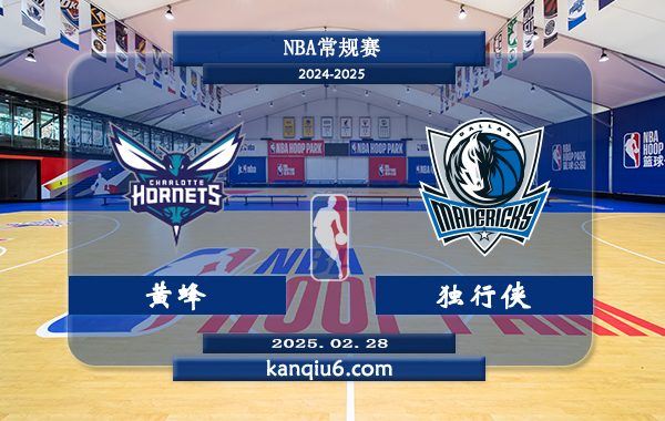 NBA,黄蜂,独行侠